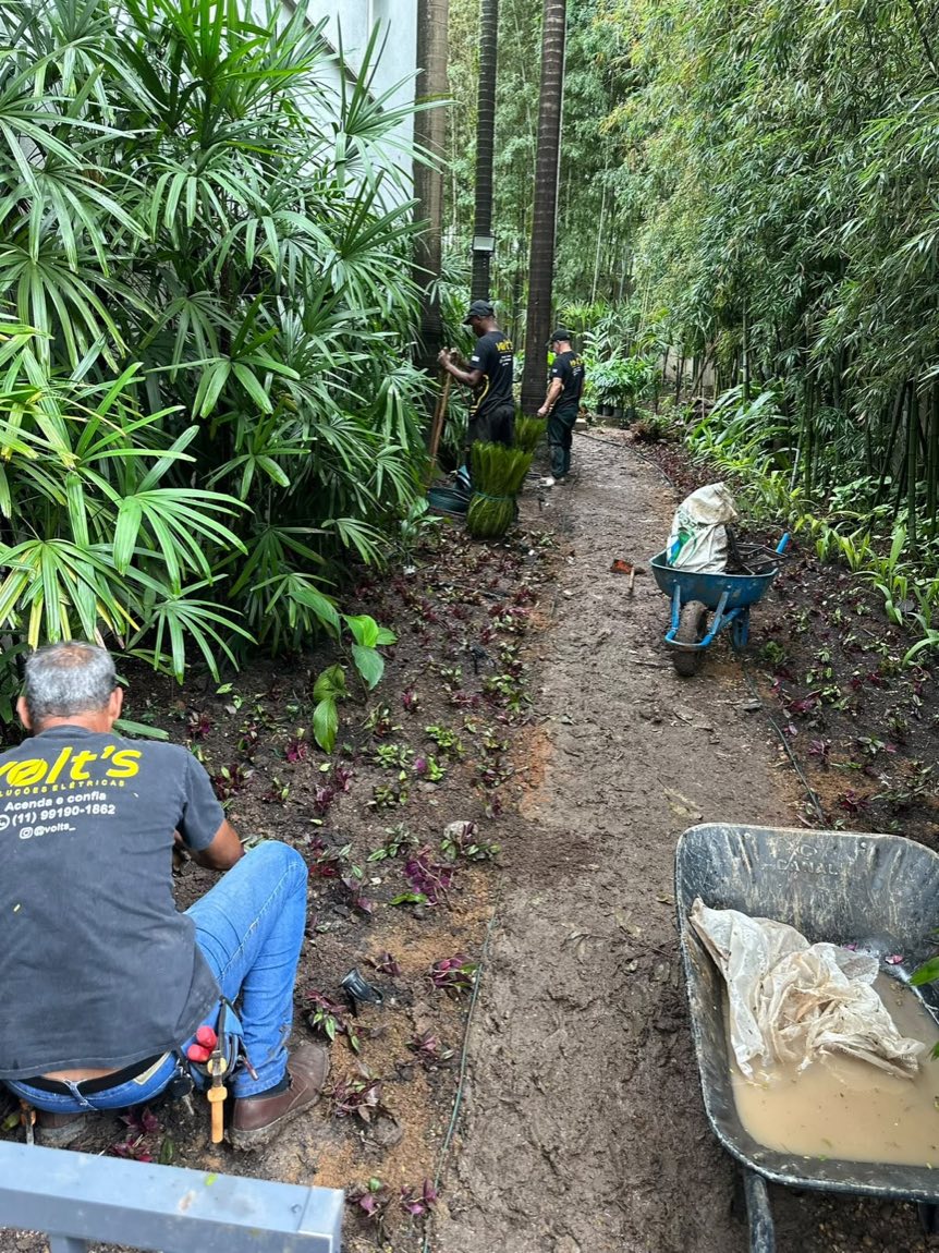 Equipe da Volt's instalando iluminação em jardim tropical
